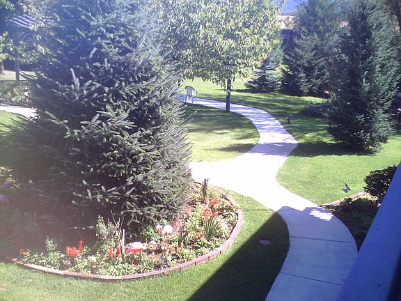 Walkway around yard.