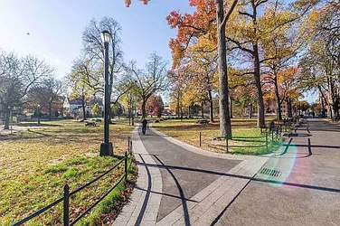 Rented by Mishkan Group