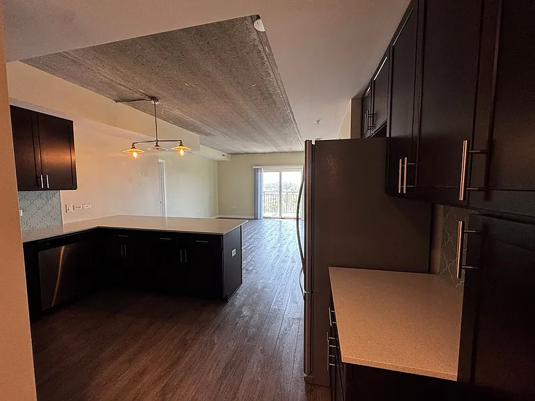 Gorgeous Historical Apartments Near Beach in East Rogers Park — Photo 93