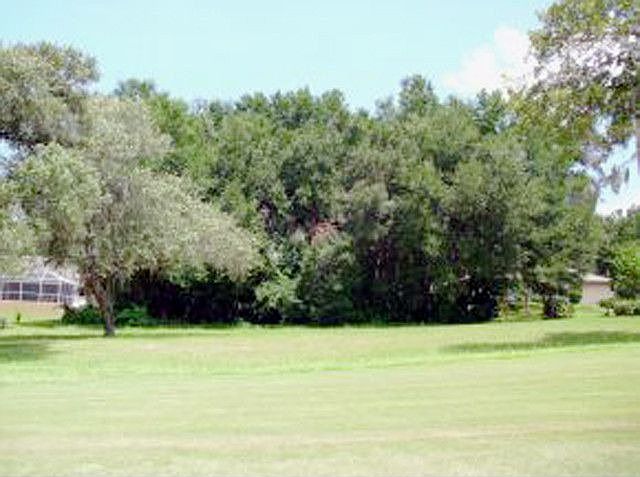 1st image of 8192 N Duval Dr