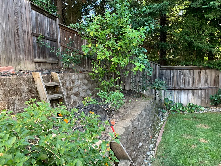 Forest Creek Way — Photo 16
