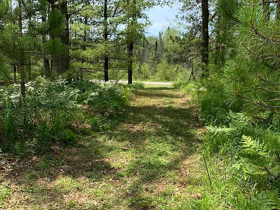 3rd image of LOT 3 McCollum Lake Rd