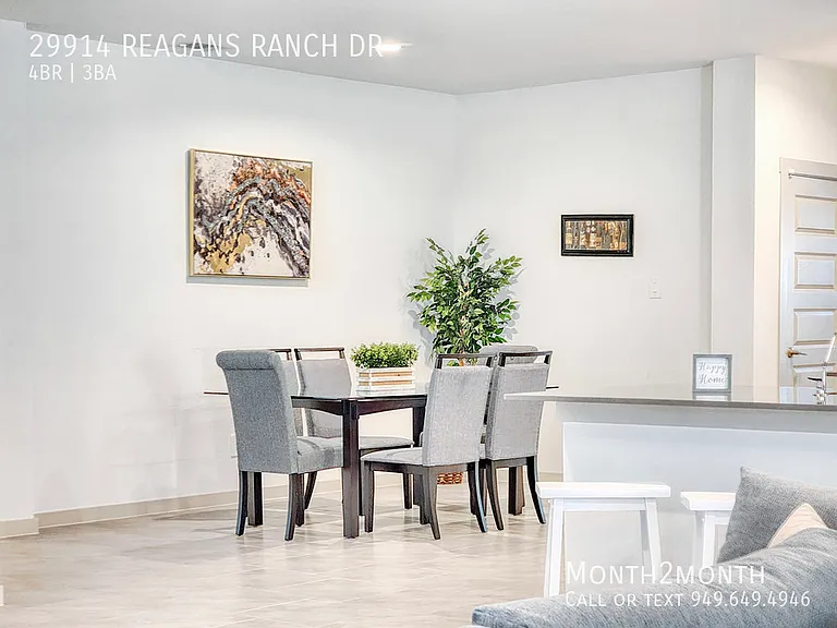 29914 Reagans Ranch Dr — Photo 8