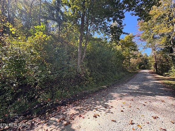 3rd image of Roe Ln #9-005.03
