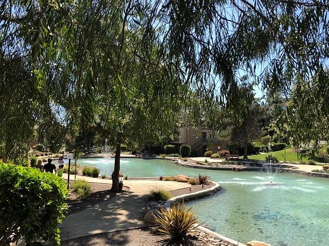 Park-like condominium complex