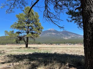 8626 Vista Peak Way, Flagstaff, AZ 86001