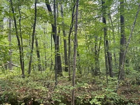 Lake Camile Rd, Cushing, MN 56443