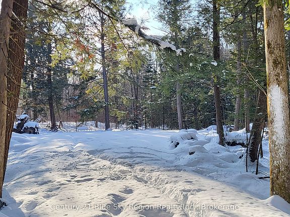 5th image of 97 Maple Rd