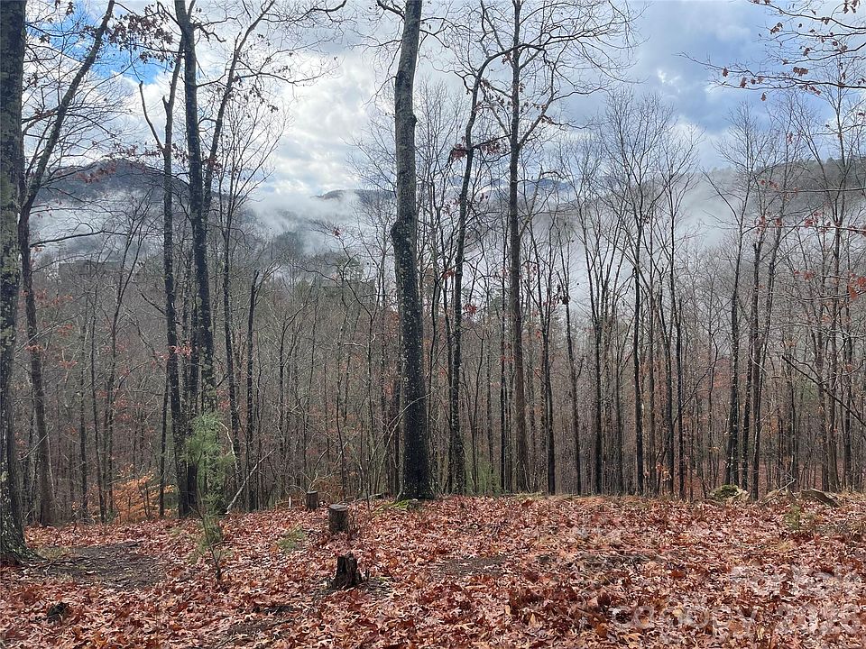 1st image of 75 Wild Turkey Loop #31