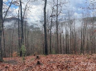 75 Wild Turkey Loop #31, Marshall, NC 28753