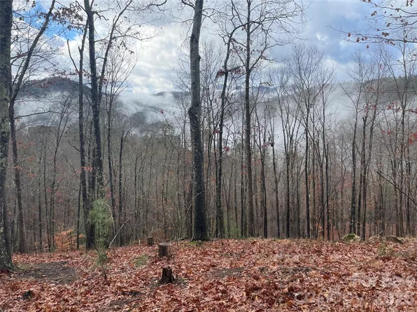 75 Wild Turkey Loop #31, Marshall, NC 28753