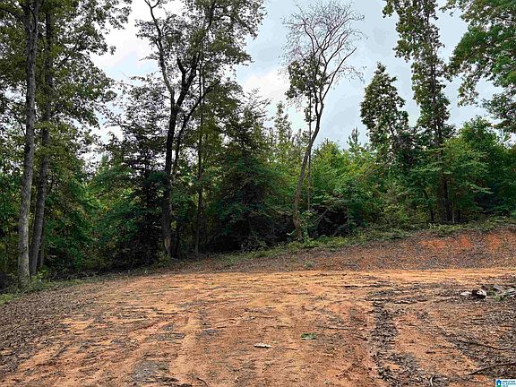 5th image of TRACT One 343 County Rd #892