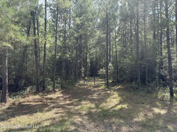 259 Forest Lake Rd, Beaumont, MS 39423