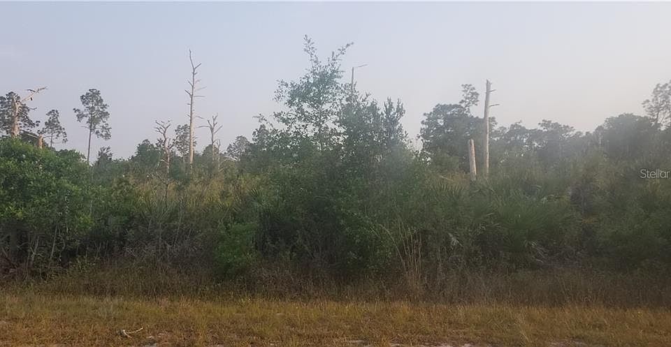 1st image of 317 Indian Lake Dr