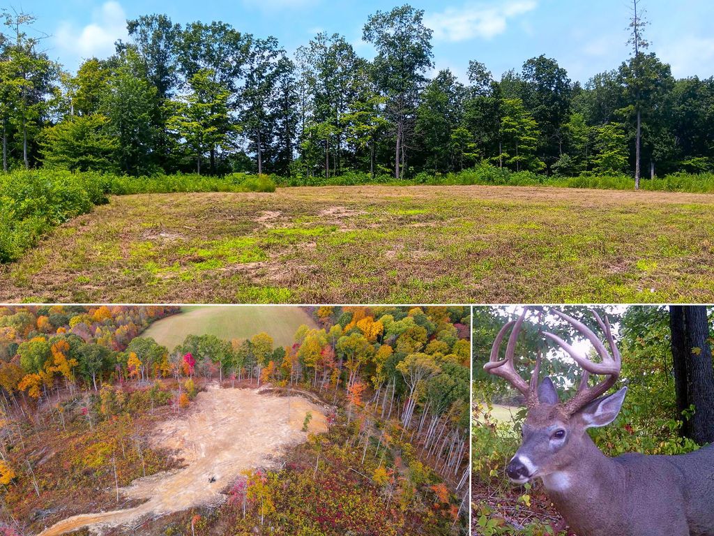 Real estate listing image