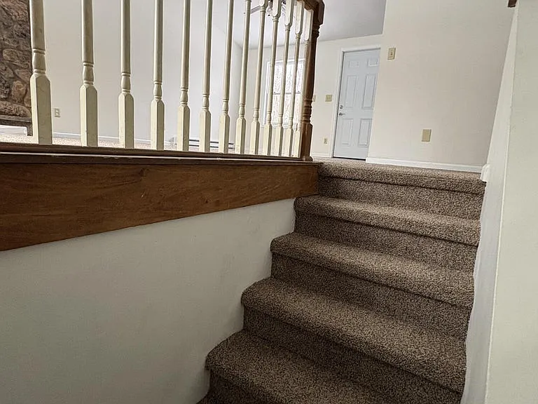 4161 Romeo Rd — Photo 19