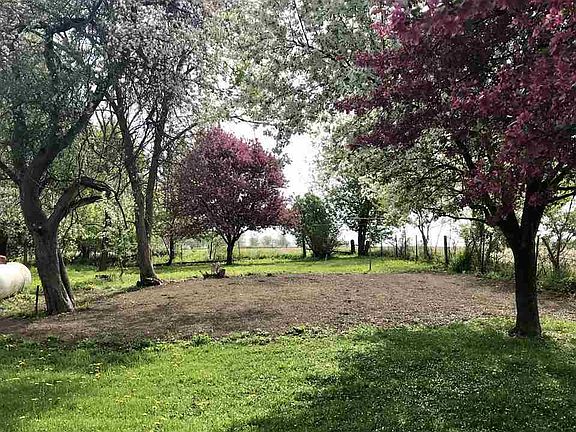 5th image of 2269 Chickasaw Cir