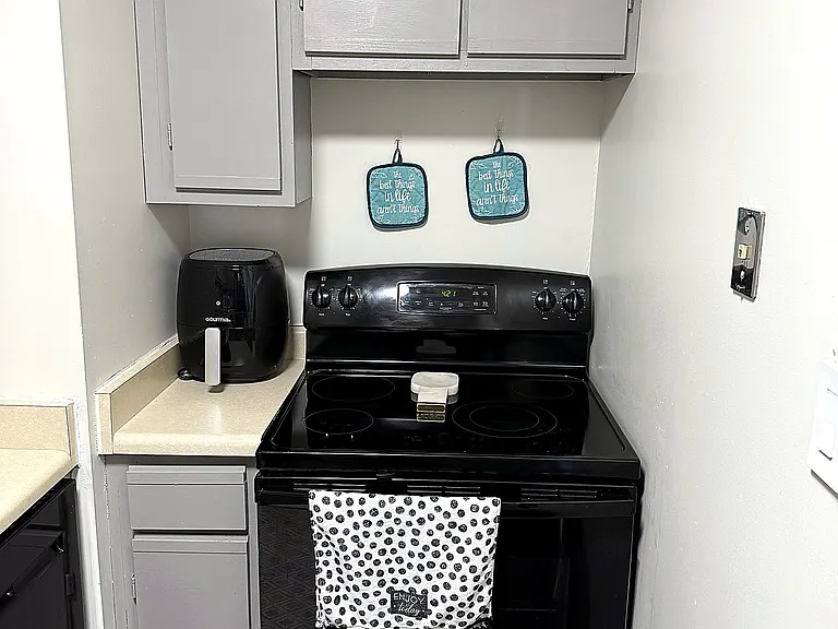 1122 N Clark St #3005 — Photo 9