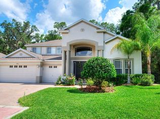 17812 Canary Point, Tampa, FL 33647