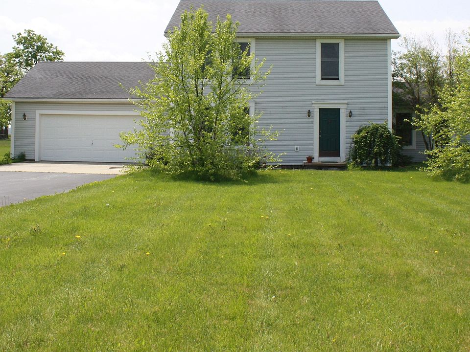 Two river birch trees frame the front of the house, with hydrangeas in front