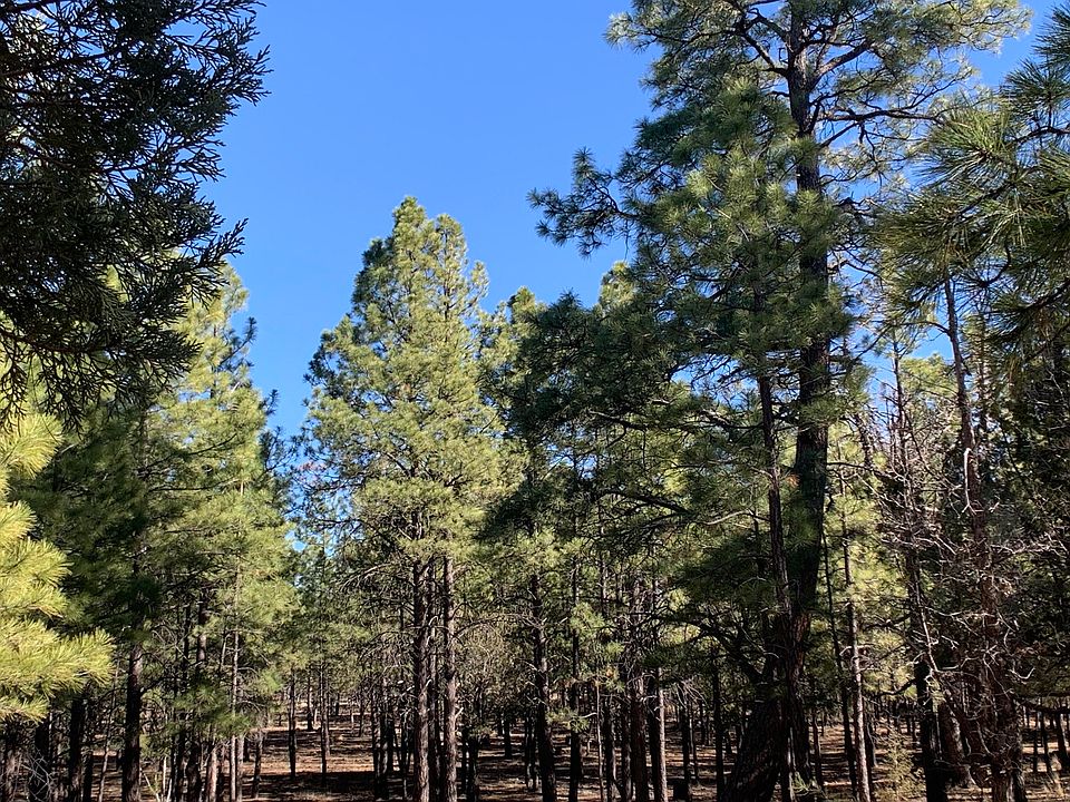 1st image of 4566 Hackamore Way