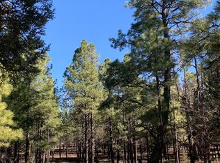 4566 Hackamore Way, Happy Jack, AZ 86024