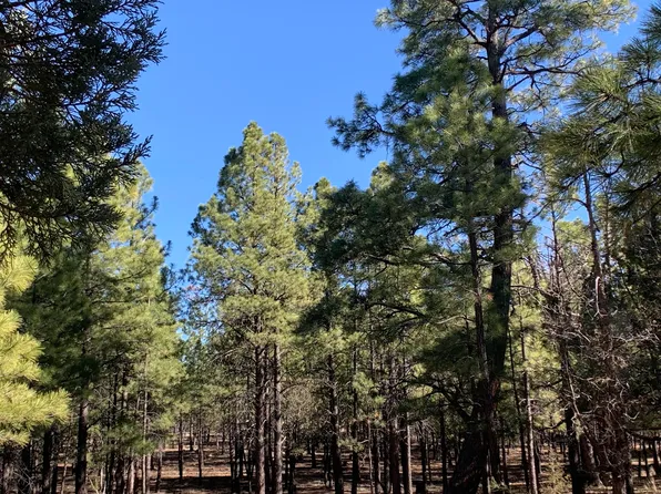 4566 Hackamore Way, Happy Jack, AZ 86024