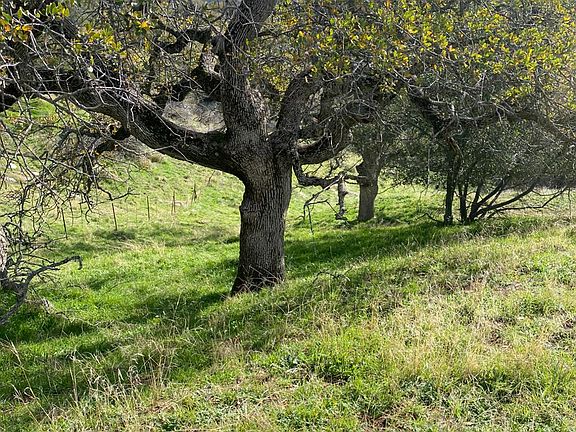 2nd image of 27833 Buckeye Canyon Rd