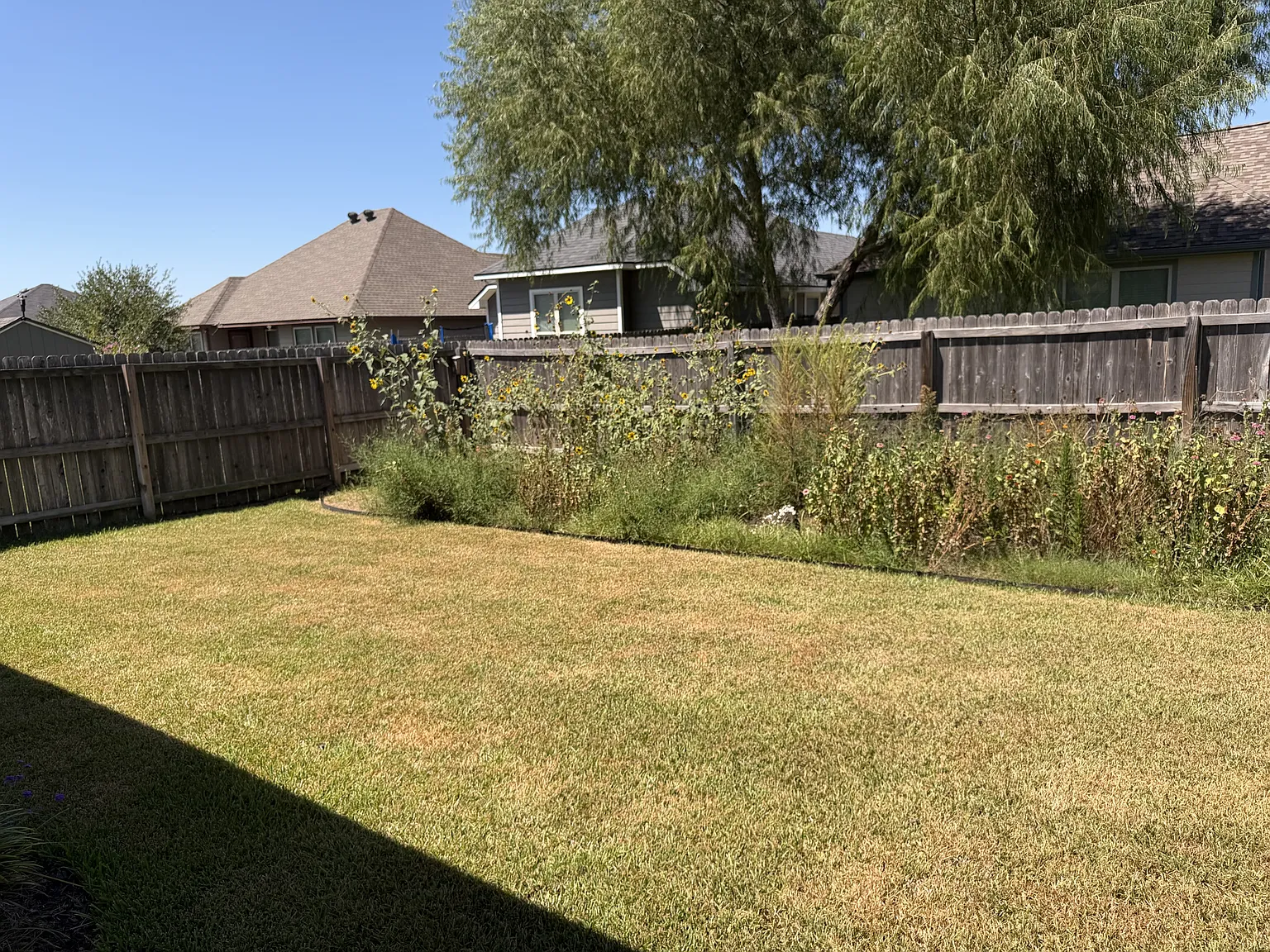 2018 Jester Trail - 1 — Photo 3
