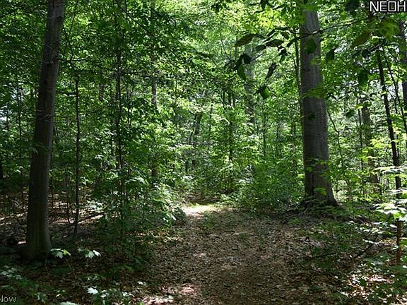 2nd image of Williams Road Concord