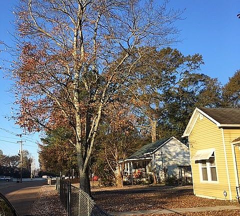 2nd image of 8776 Chaffee Rd