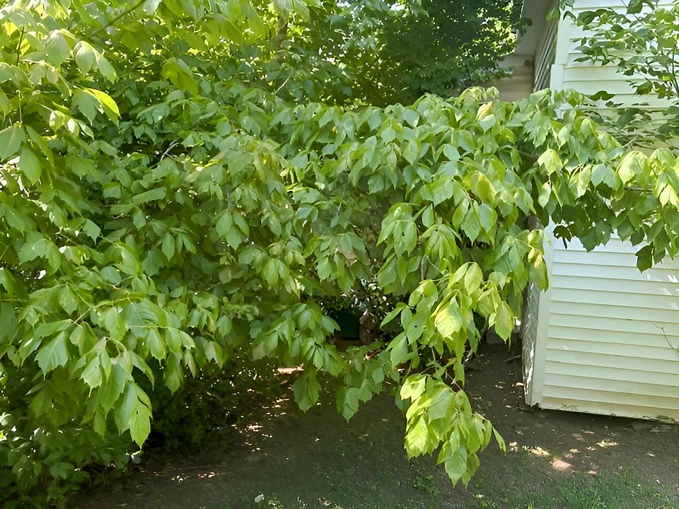 2nd image of 399 Campground Rd