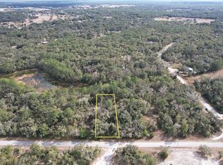 Lewis Ln Lot 7, Webster, FL 33597