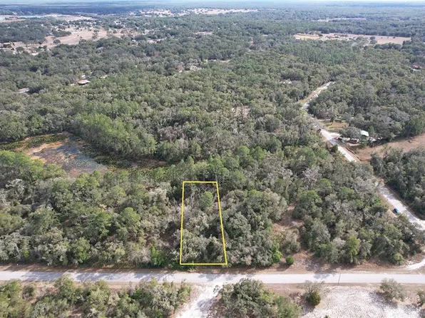 Lewis Ln Lot 7, Webster, FL 33597
