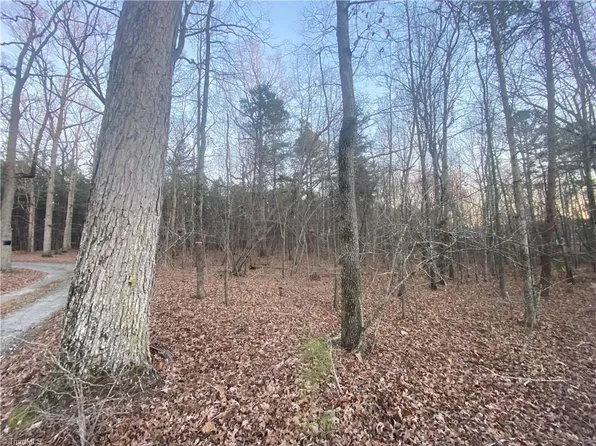 4707 Jaylee Pl Lot 9, Julian, NC 27283