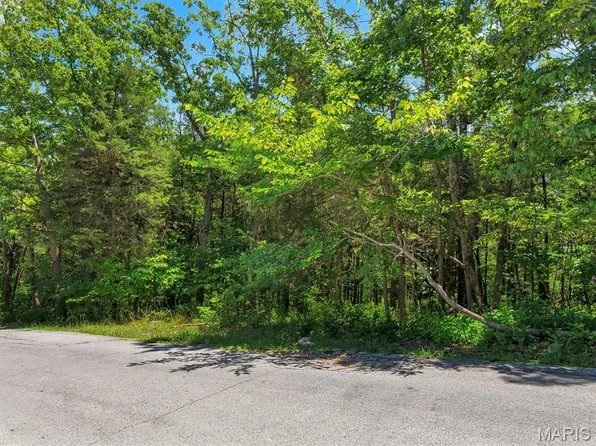 9630 Duffer Dr, Hillsboro, MO 63050