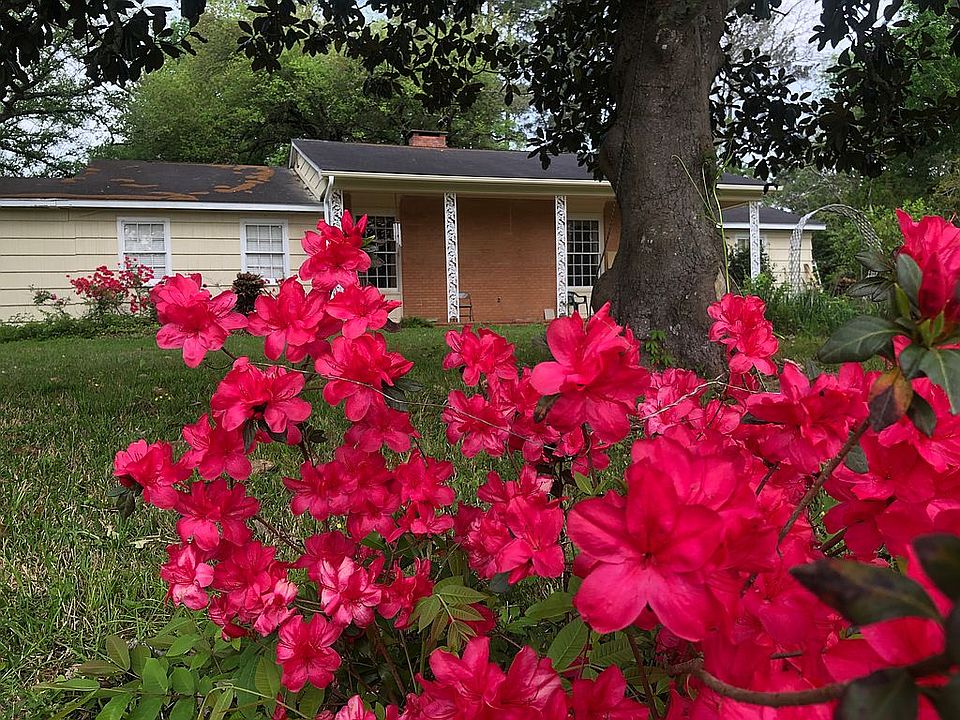 Large front yard and porch