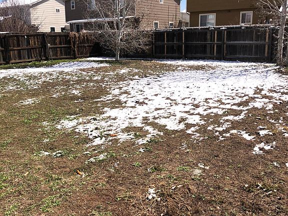 Back yard