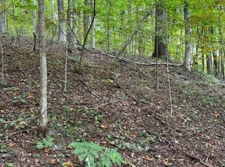 Lot 770 TBD Ivy Court, Creston, NC 28615