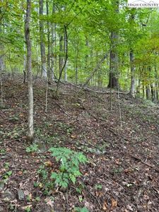 Lot 770 TBD Ivy Court, Creston, NC, 28615