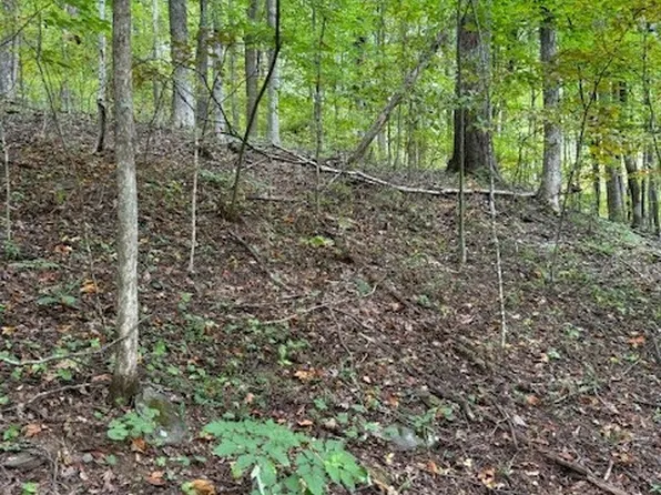 Lot 770 TBD Ivy Court, Creston, NC 28615