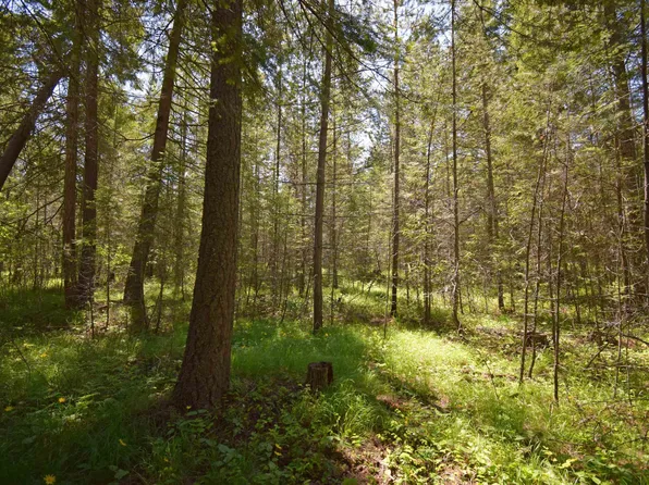 22 Syringa Dr, Bonners Ferry, ID 83805