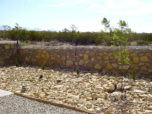 Backyard Landscaping