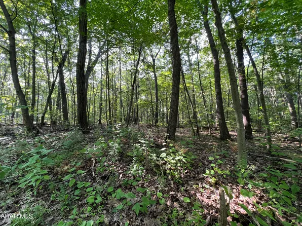 117&118 Kittanning Run, Claysburg, PA 16625