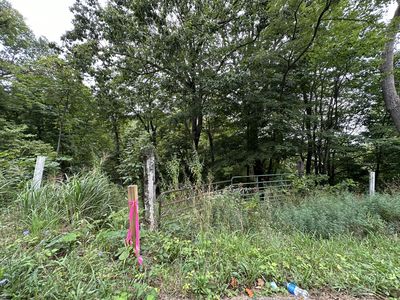 9999 Persimmon Knob, Junction City, KY, 40440