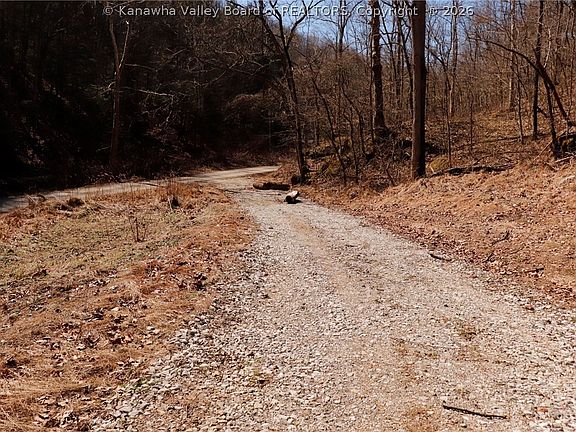 2nd image of 0 Straight Creek Rd