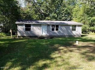 8767 Chippewa Trl, Howard City, MI 49329