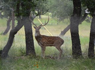 110 Axis Run, Hunt, TX 78024