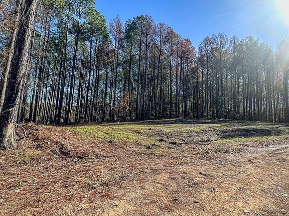 2nd image of 0 Timber Twist Ln Lot 25-S