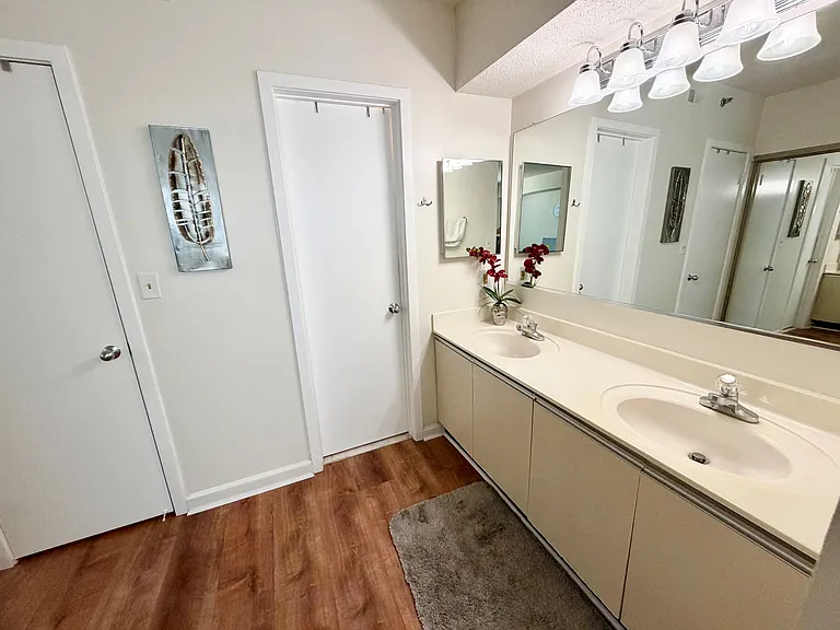 Bathroom/Master Bedroom